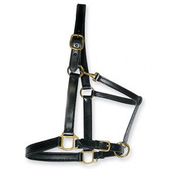 Halters