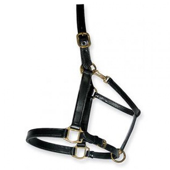 Halters