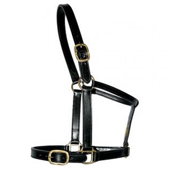 Halters