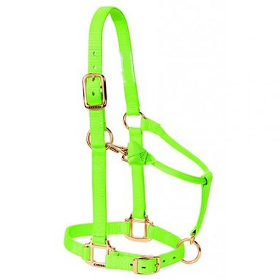 Halters
