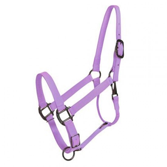 Halters