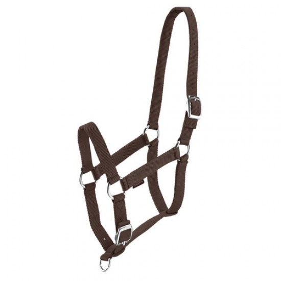 Halters