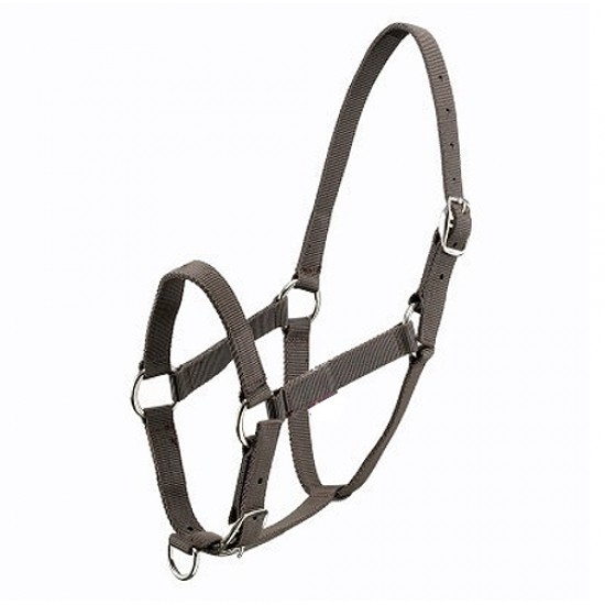Halters
